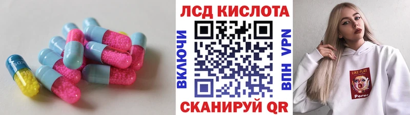 дарнет шоп  Западная Двина  LSD-25 экстази кислота 