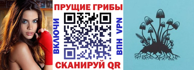 Псилоцибиновые грибы MAGIC MUSHROOMS  Западная Двина 