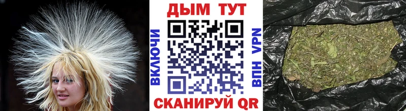 Канабис Ganja  Западная Двина 